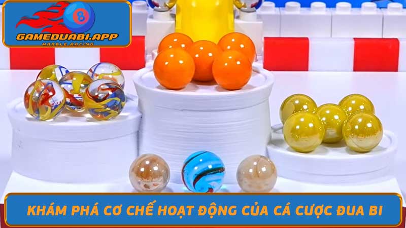 Cá Cược Đua Bi - Trò Chơi Giải Trí & Kiếm Tiền Hot 2024