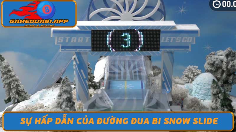 Đường Đua Bi Snow Slide - Giải Trí Cho Mọi Lứa Tuổi