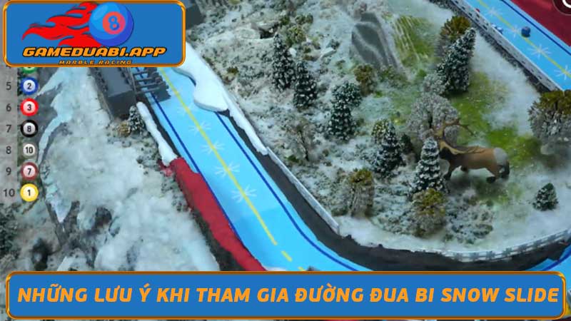 Đường Đua Bi Snow Slide - Giải Trí Cho Mọi Lứa Tuổi