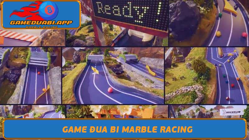 Cá cược đua bi Marble Racing: Giải trí đỉnh cao tại Game đua bi