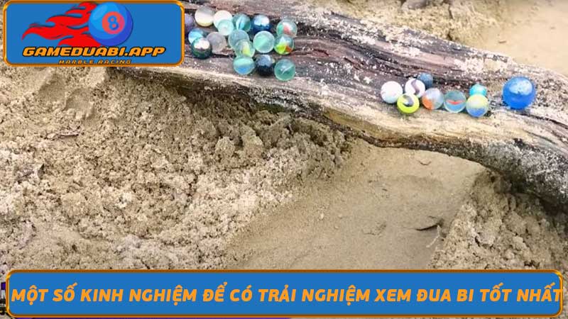  Phát Trực Tiếp Đua Bi Xem đua bi trực tuyến tại Game đua bi