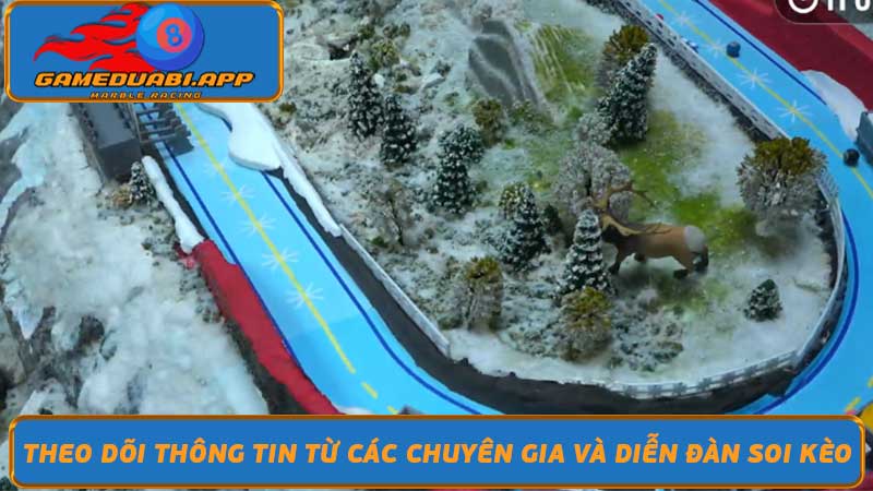 Soi Kèo Đua Bi Bí Kíp Chơi Đua Bi Hiệu Quả Từ Cao Thủ